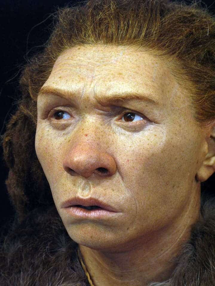 viking face reconstruction