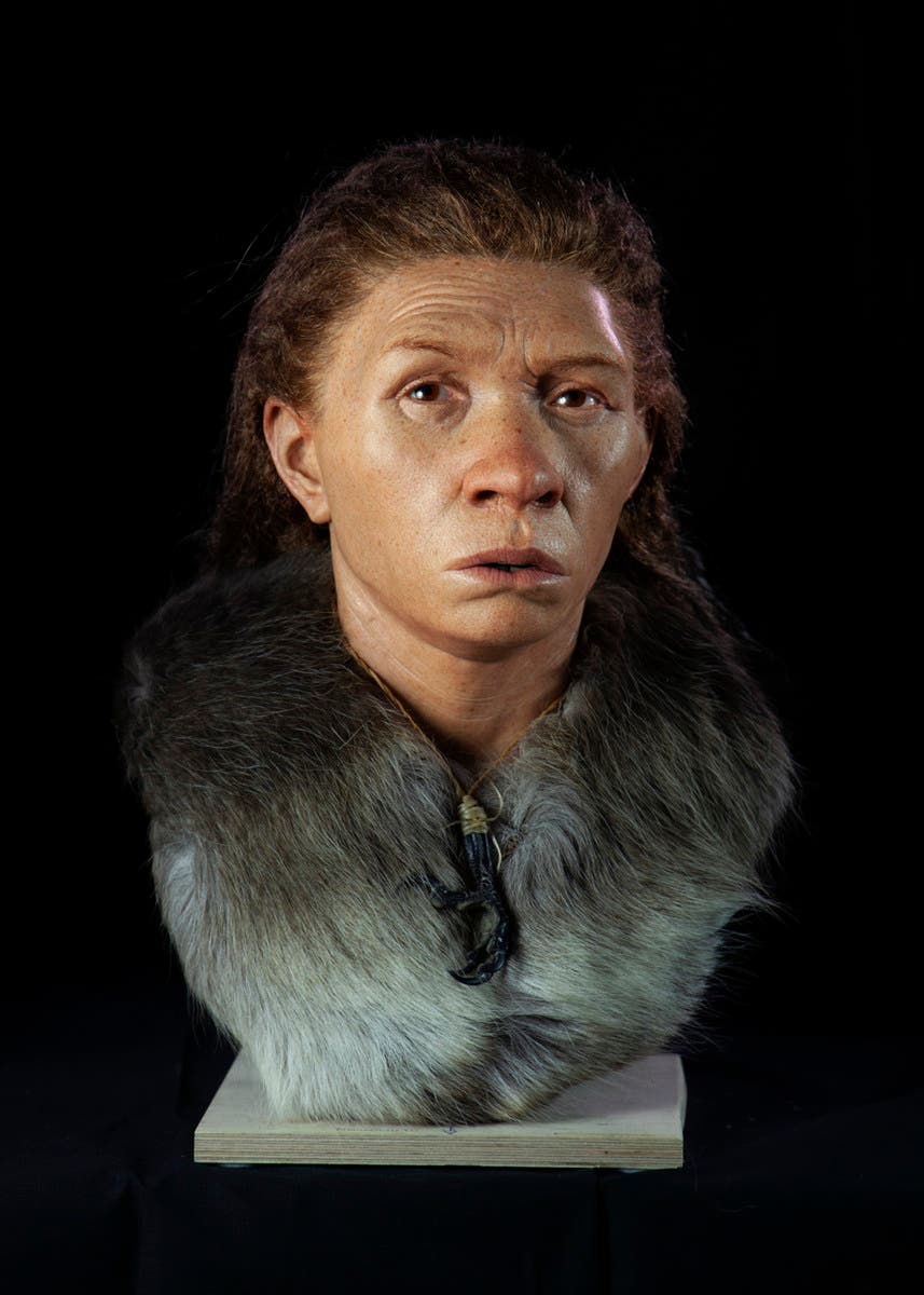 viking face reconstruction