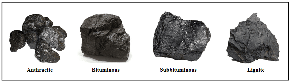 how-coal-is-formed