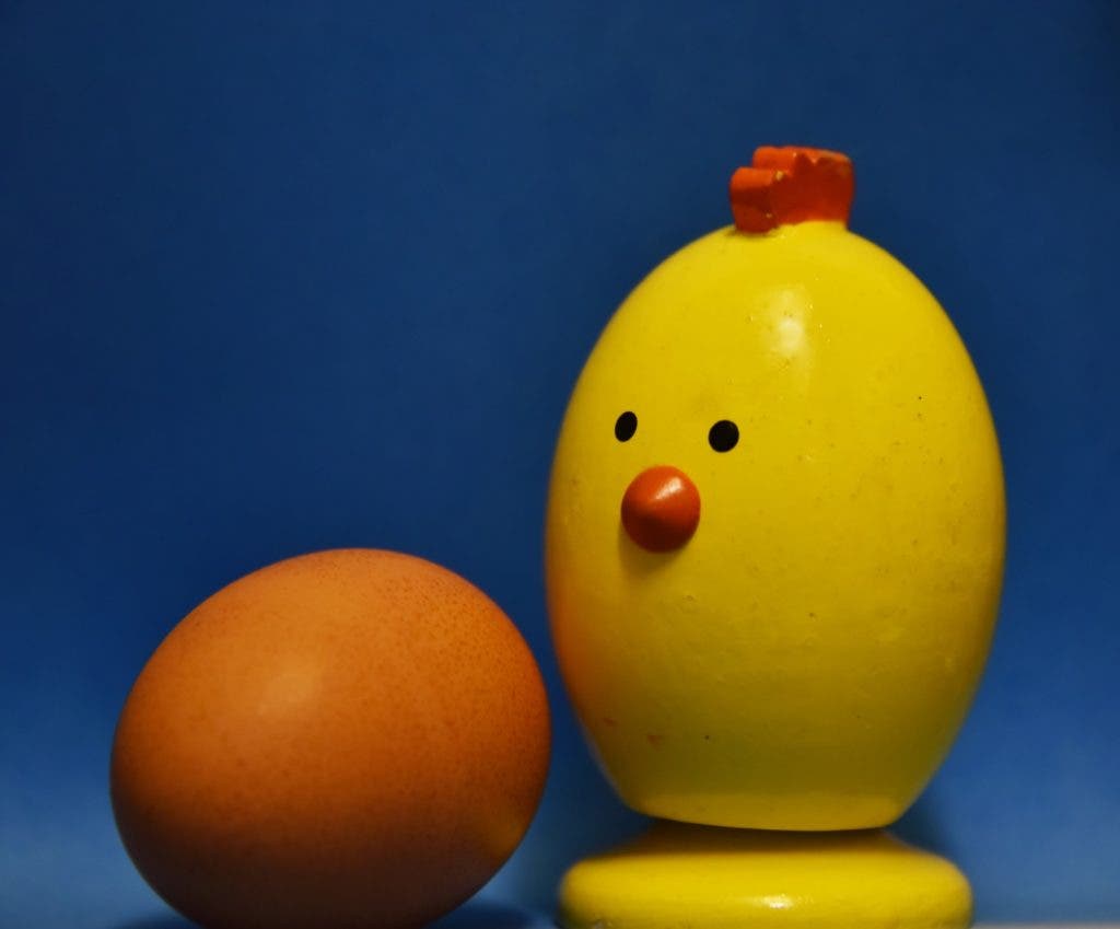 Physicists may have solved 'chicken or the egg' paradox -- both can ...